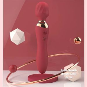 2-in-1 Vibrator Wand for Women